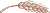 Decorative image, a wheat symbol